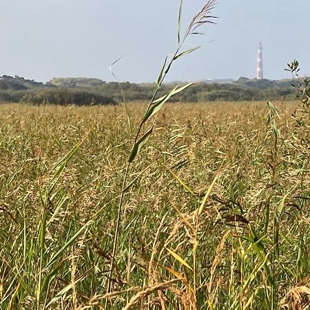 Meeuw Villa Hollum  Dış mekan fotoğraf